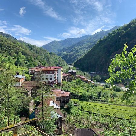 Koloni Apart Aparthotel Çamlıhemşin Buitenkant foto